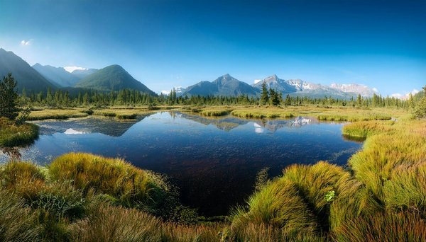 Mobil-home ou tente : découvrez l'hébergement de vacances parfait pour vous !