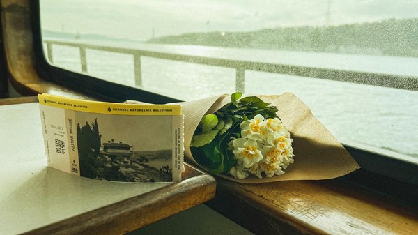 Exploration des Effets Écologiques du Transport en Autocar : Un Voyage Durable